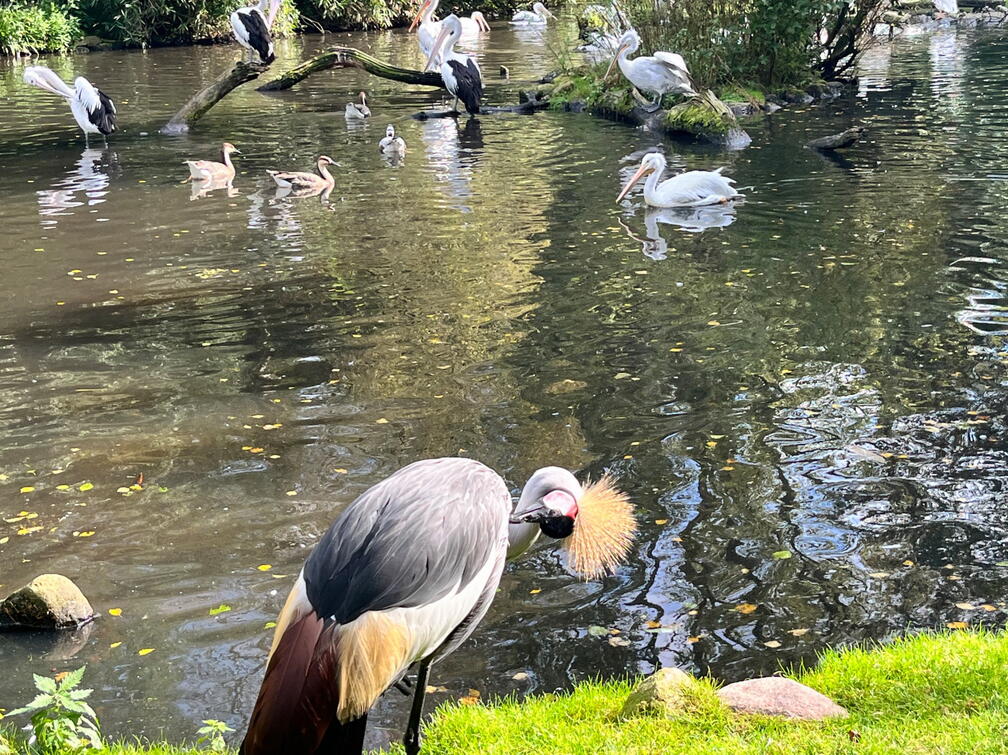 23-09-22 12-37-34 7263